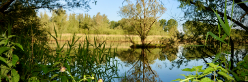 Inspiratiesessie: Natuur op recept - De kracht van natuur voor herstel, preventie en veerkracht in de huisartsenpraktijk